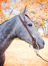 Oxbow Split Ear Headstall with White Buckstitch
