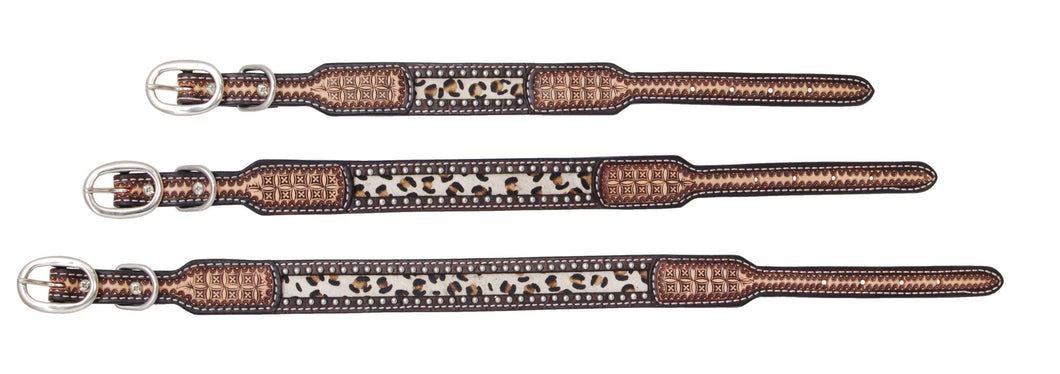 GATOR PRINT W/ LEOPARD IN LAY DOG COLLAR