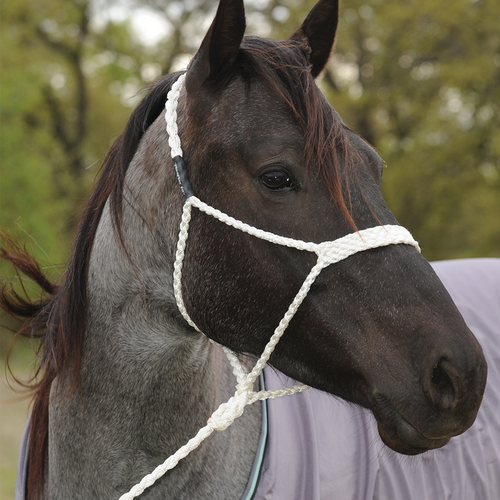 MULE TAPE HALTER WITH LEAD