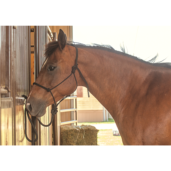 CLASSIC EQUINE ROPE WORK HALTER