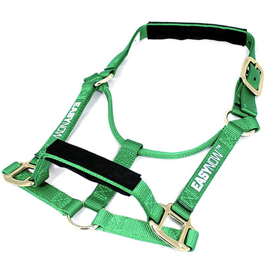 Easy Now Manner Maker Halter