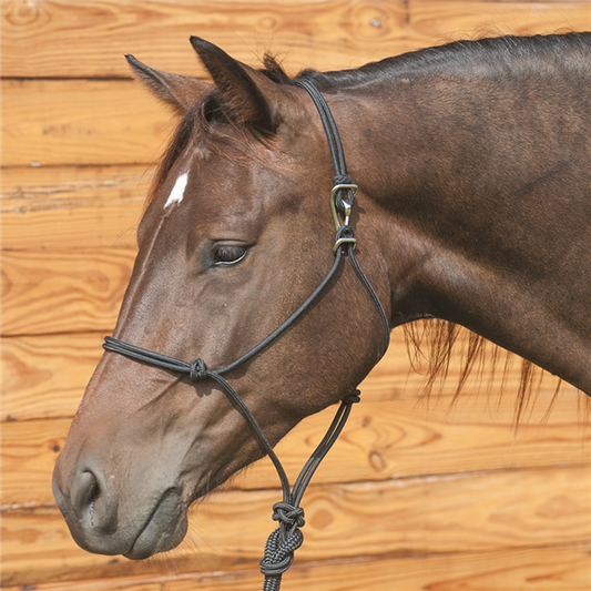 MARTIN ADJUSTABLE QUICK BUCKLE ROPE HALTER