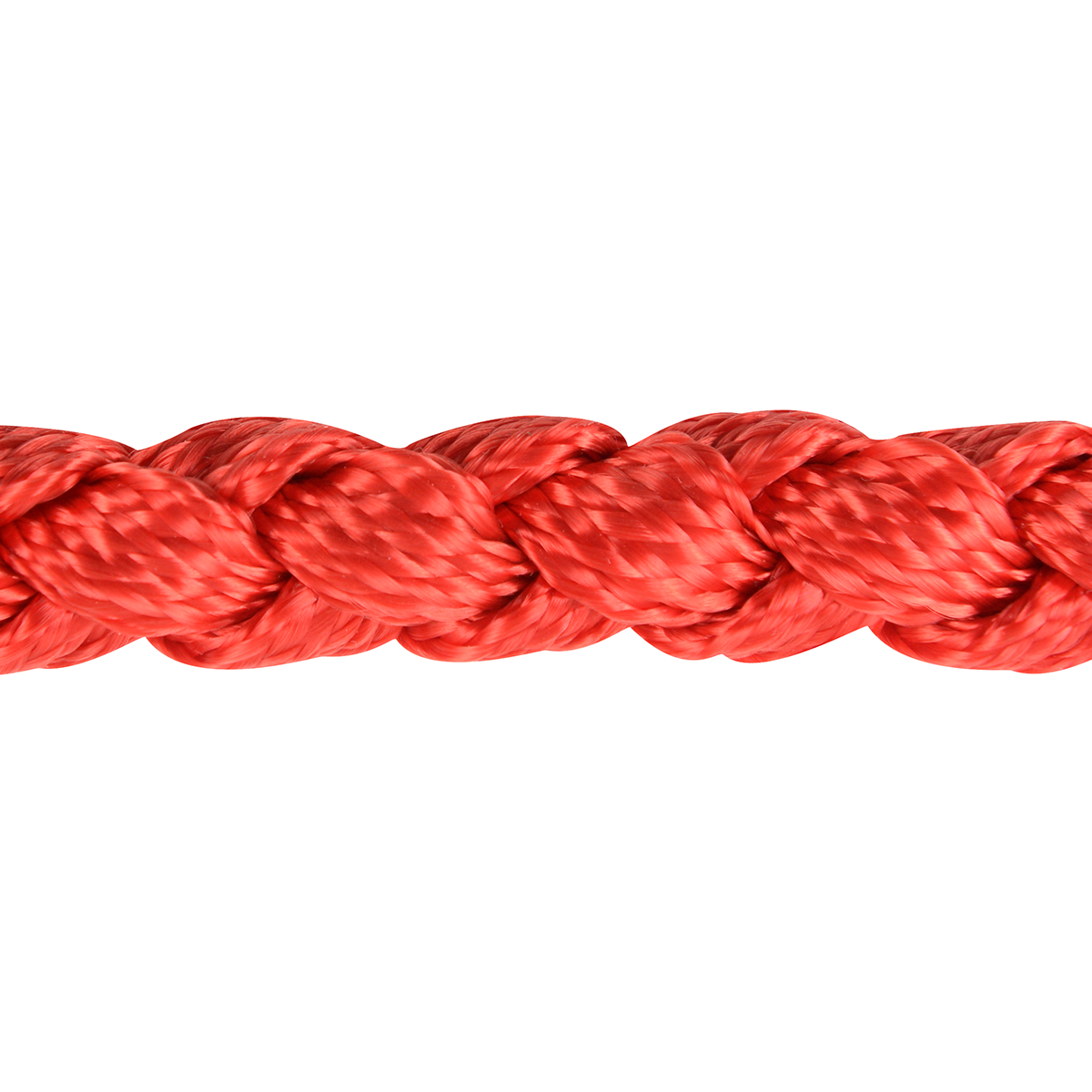 Martin Mule Tape Braided Rope Halter With Lead